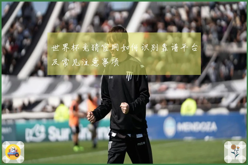 世界杯竞猜官网如何识别靠谱平台及常见注意事项